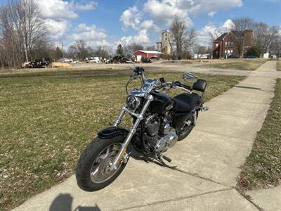 2014 Harley Davidson XL 1200C   - Photo 2 - Rushville, IN 46173