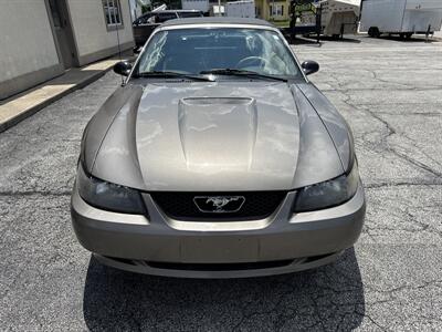 2002 Ford Mustang Deluxe   - Photo 3 - Rushville, IN 46173