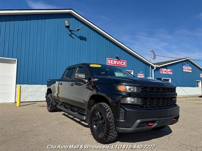2019 Chevrolet Silverado 1500 Custom Trail Boss   - Photo 9 - Clio, MI 48420
