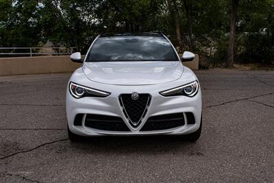 2019 Alfa Romeo Stelvio Quadrifoglio   - Photo 11 - Albuquerque, NM 87114