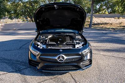 2019 Mercedes-Benz CLS CLS 450   - Photo 29 - Albuquerque, NM 87114