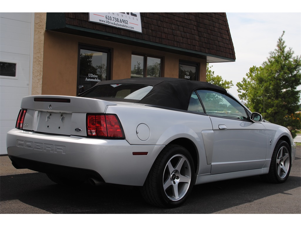 2003 Ford Mustang SVT Cobra   - Photo 10 - West Chester, PA 19382