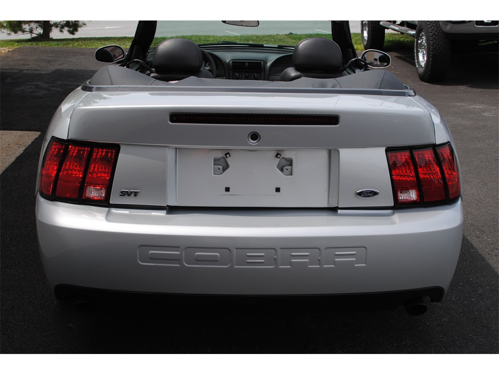 2003 Ford Mustang SVT Cobra   - Photo 12 - West Chester, PA 19382