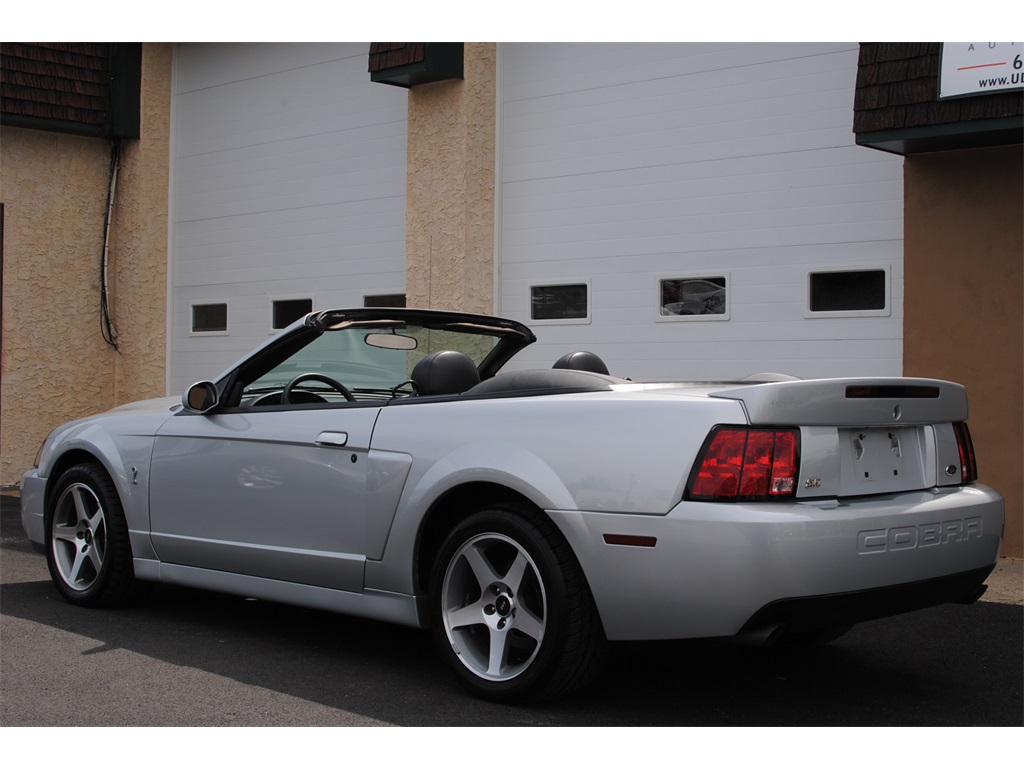 2003 Ford Mustang SVT Cobra   - Photo 14 - West Chester, PA 19382