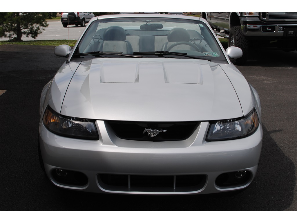2003 Ford Mustang SVT Cobra   - Photo 5 - West Chester, PA 19382