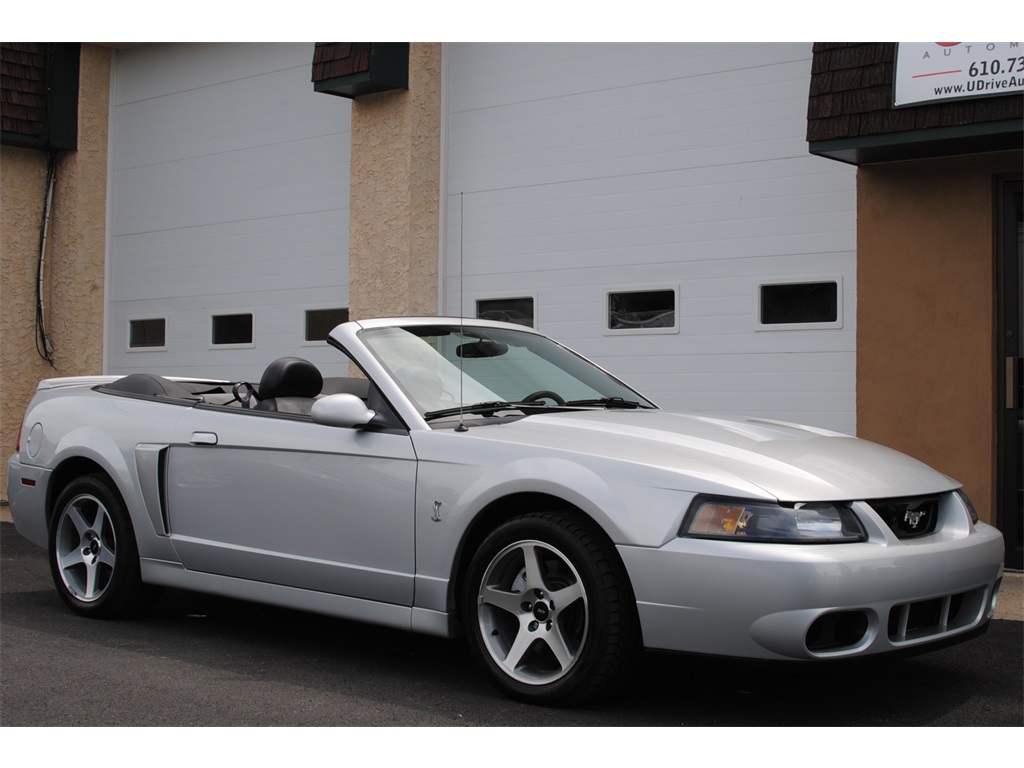 2003 Ford Mustang SVT Cobra   - Photo 6 - West Chester, PA 19382