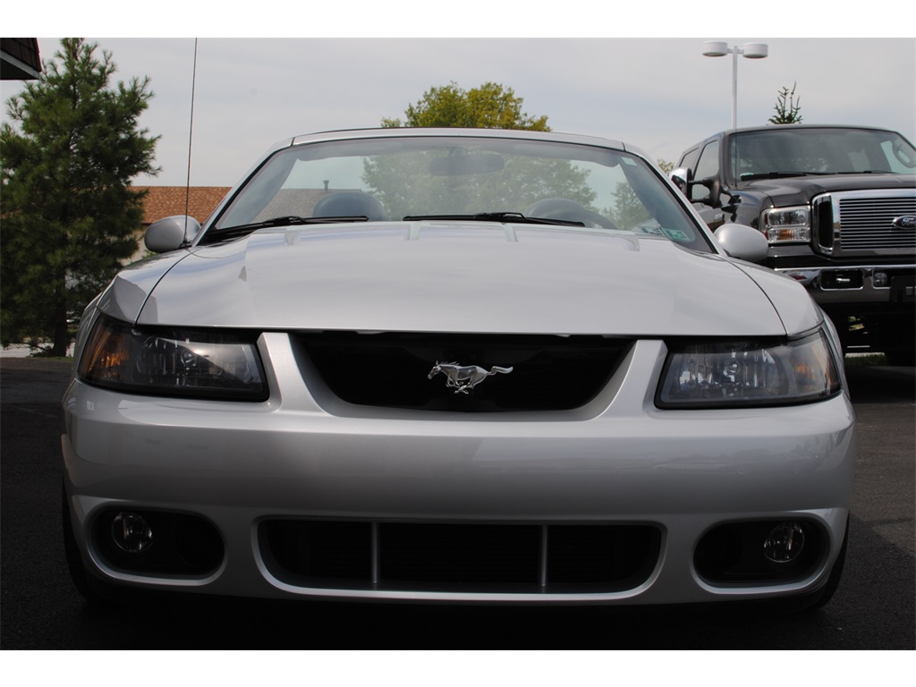 2003 Ford Mustang SVT Cobra   - Photo 4 - West Chester, PA 19382