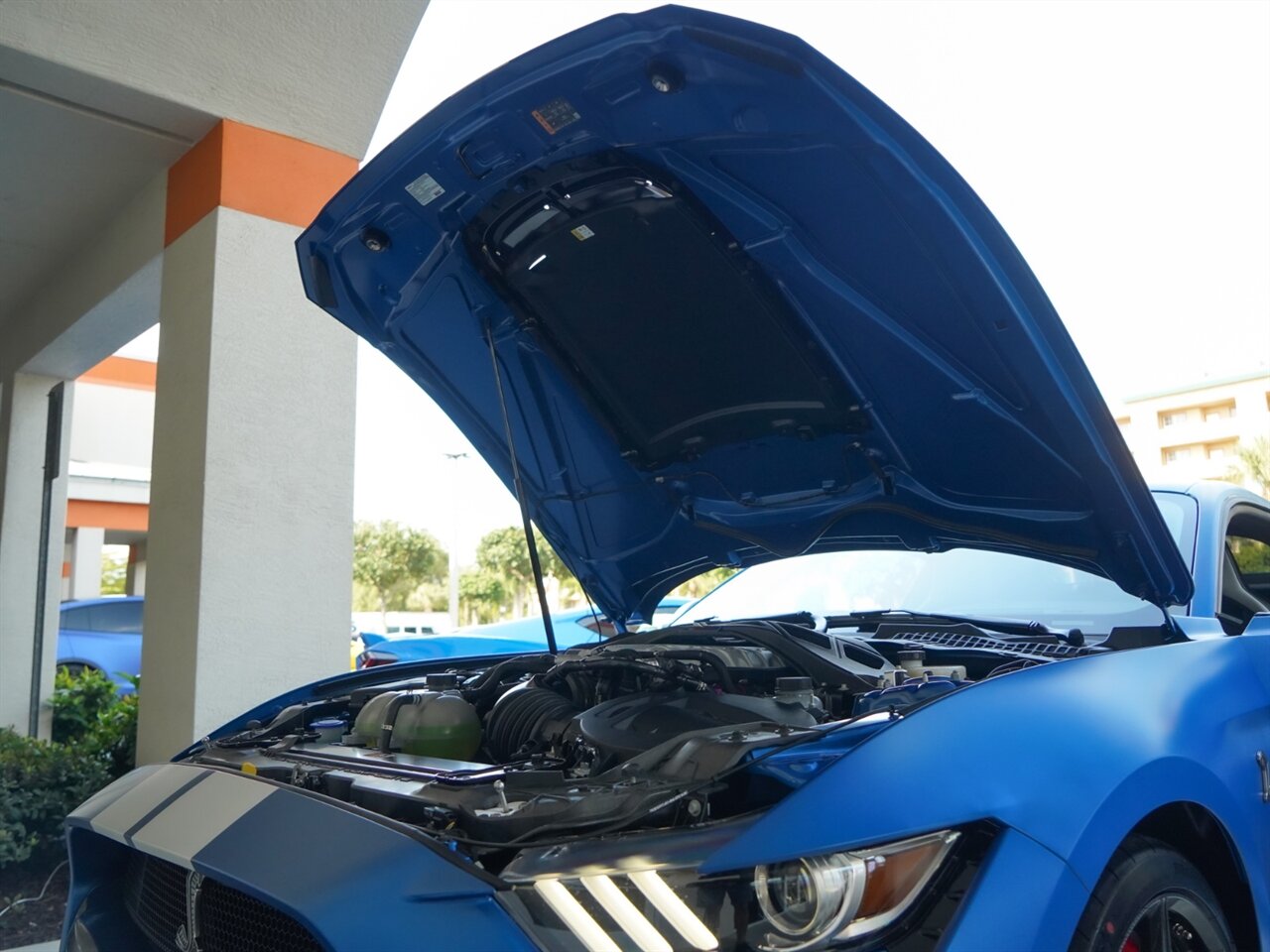 2020 Ford Mustang Shelby GT500   - Photo 32 - Bonita Springs, FL 34134