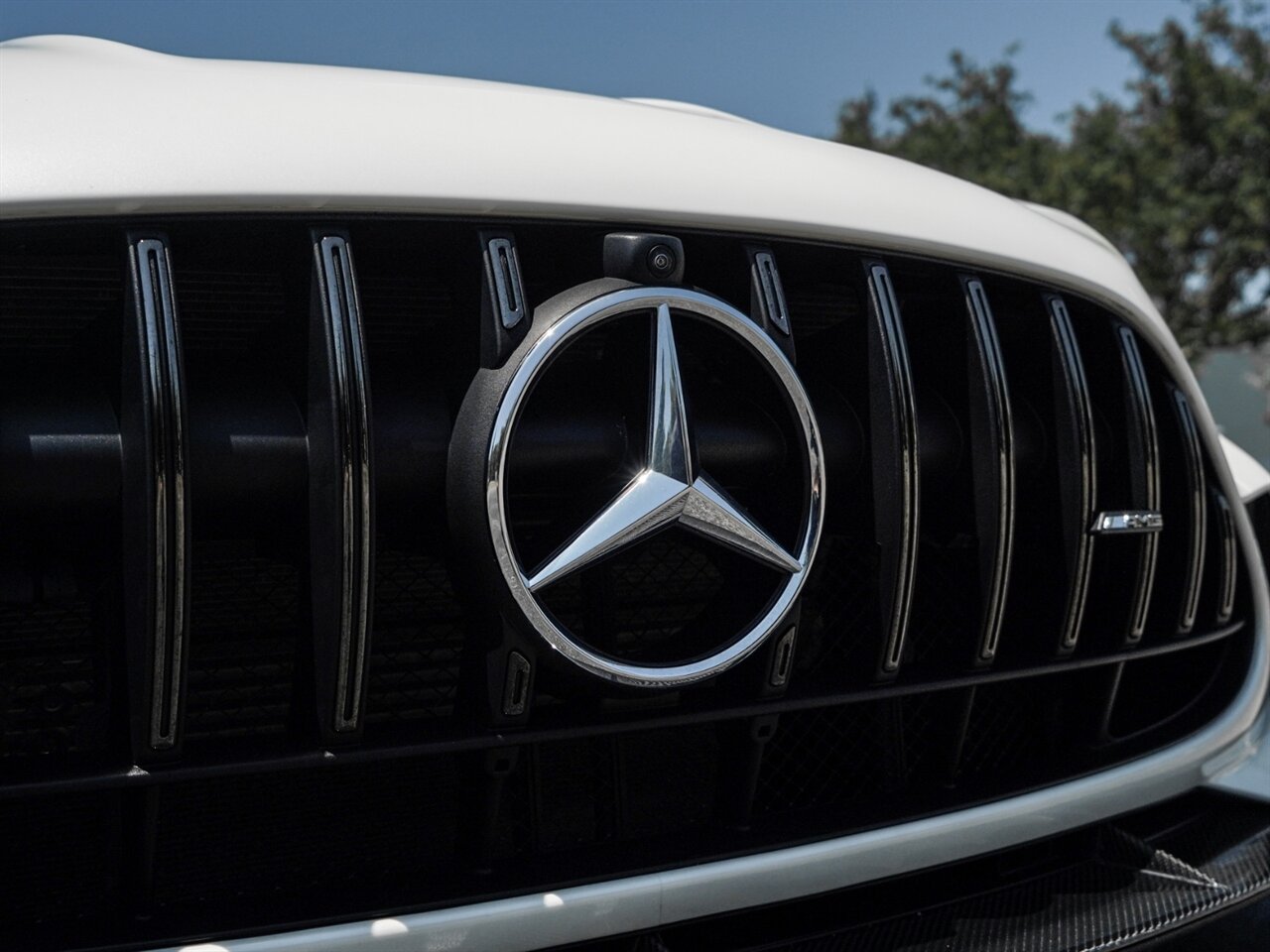 2021 Mercedes-Benz AMG GT Black Series   - Photo 3 - Bonita Springs, FL 34134