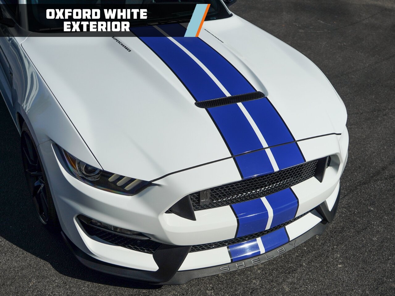 2016 Ford Mustang Shelby GT350  Hennessey - Photo 7 - Bonita Springs, FL 34134