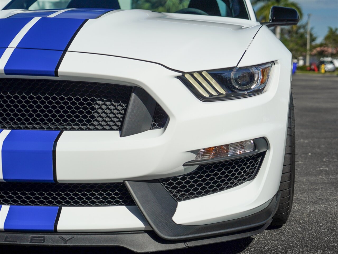 2016 Ford Mustang Shelby GT350  Hennessey - Photo 6 - Bonita Springs, FL 34134