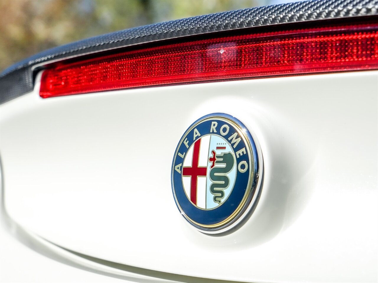 2015 Alfa Romeo 4C Launch Edition   - Photo 40 - Bonita Springs, FL 34134