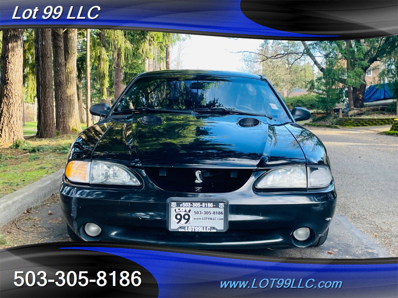 1997 Ford Mustang SVT COBRA 5 Speed Manual Leather   - Photo 3 - Milwaukie, OR 97267