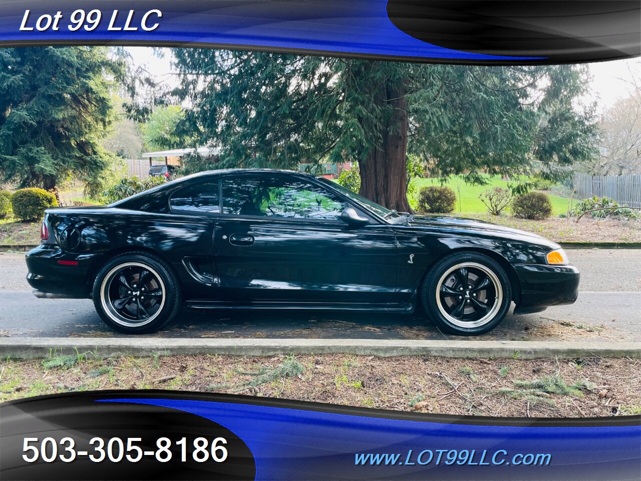 1997 Ford Mustang SVT COBRA 5 Speed Manual Leather   - Photo 5 - Milwaukie, OR 97267