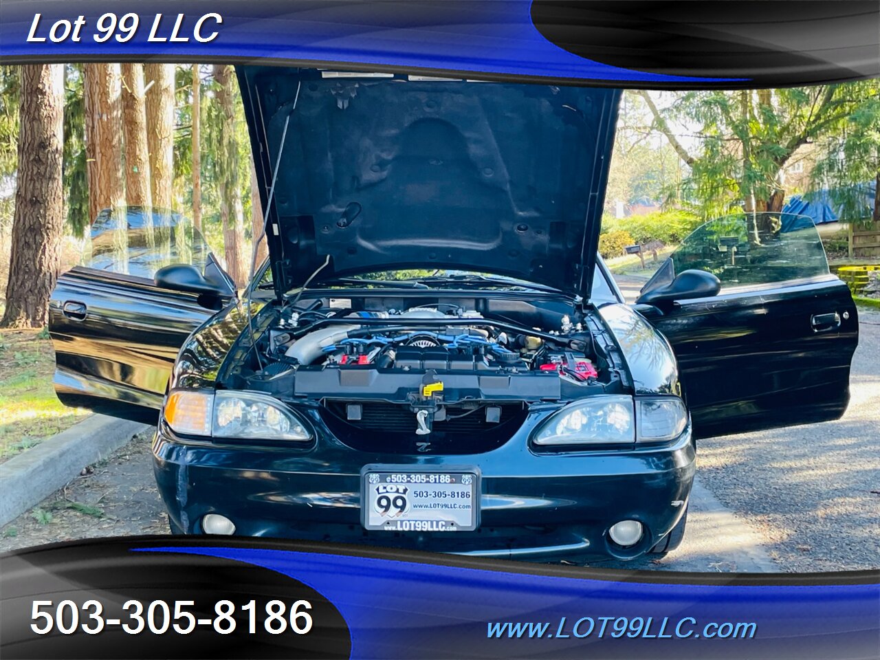 1997 Ford Mustang SVT COBRA 5 Speed Manual Leather   - Photo 33 - Milwaukie, OR 97267