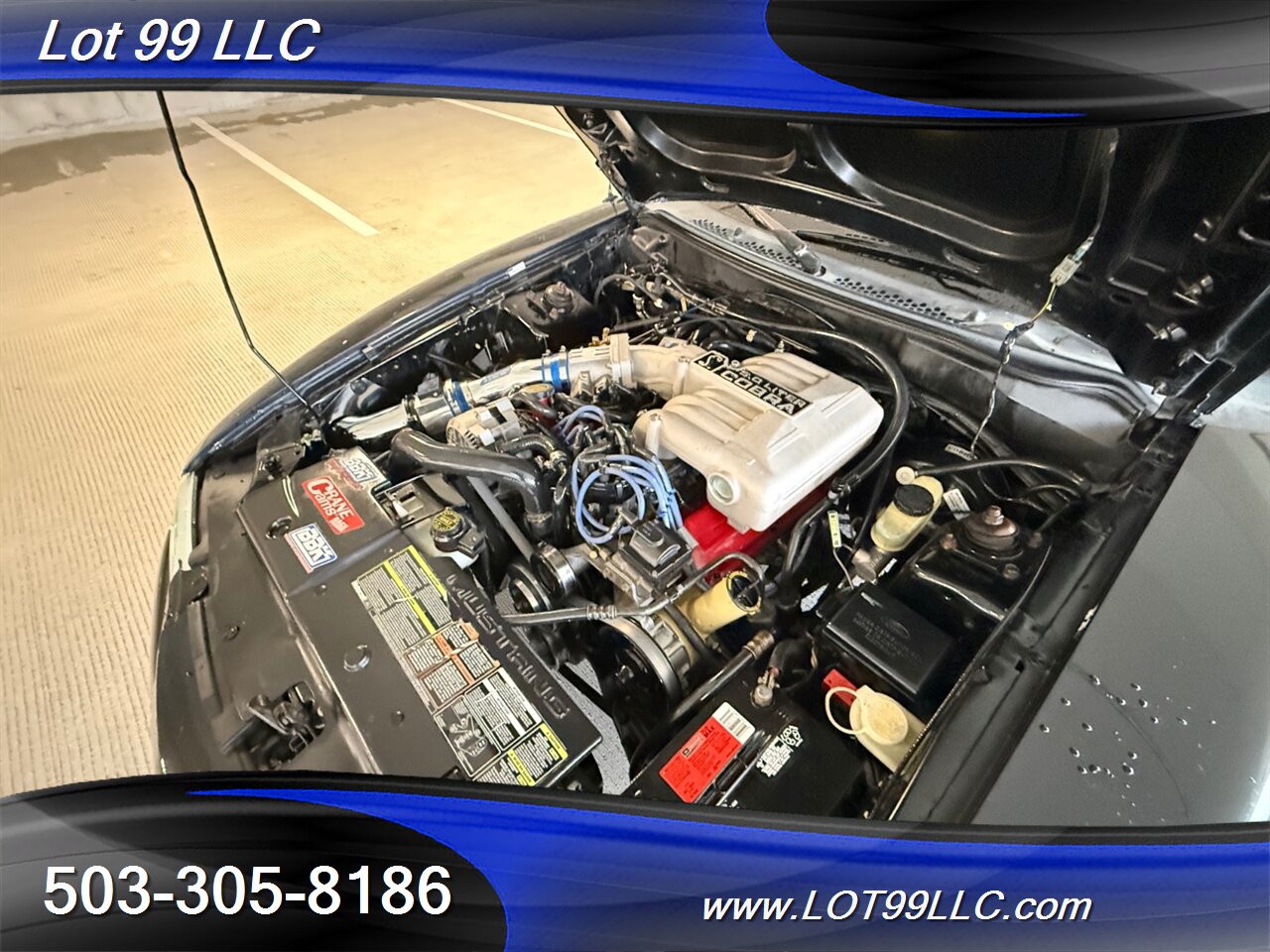 1995 Ford Mustang COBRA 119k 5 Speed Manual Leather   - Photo 21 - Milwaukie, OR 97267