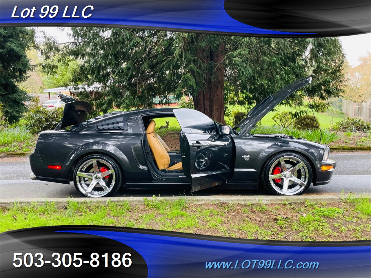 2009 Ford Mustang GT PremiumGT *** GLASS TOP *** 95k  5 Speed Leathe   - Photo 54 - Milwaukie, OR 97267