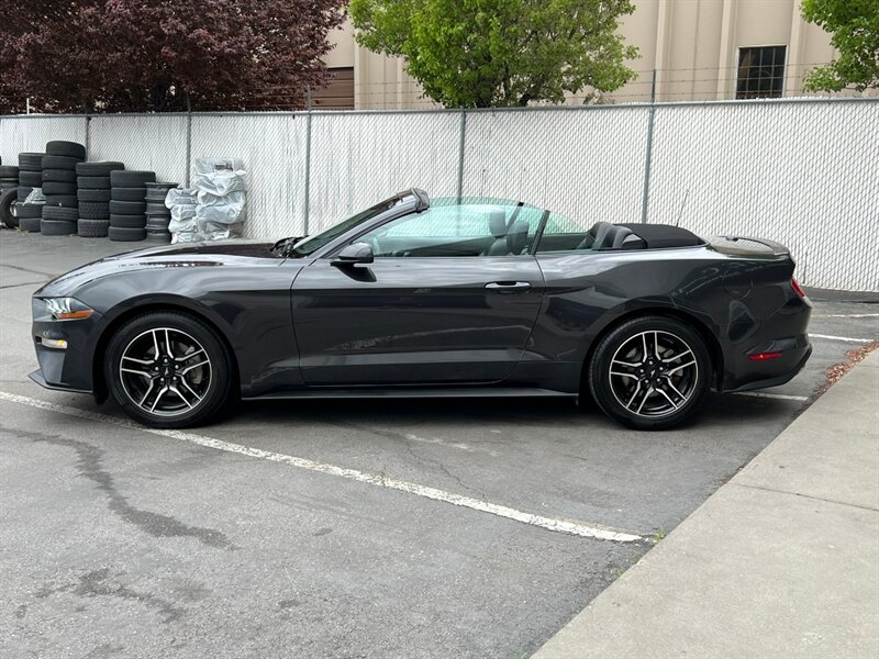 2023 Ford Mustang EcoBoost Premium photo