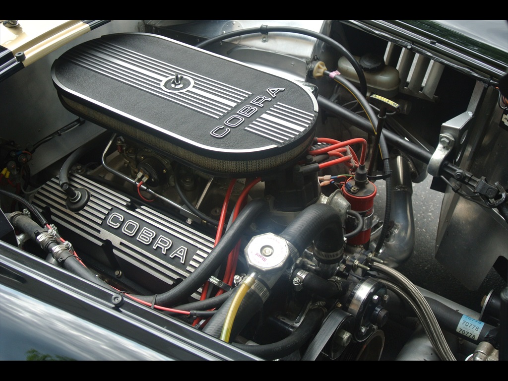 1965 Replica/Kit Shelby Cobra   - Photo 19 - Framingham, MA 01702