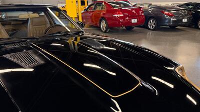 1980 Datsun 280ZX 10TH Anniversary Edition   - Photo 19 - Addison, IL 60101