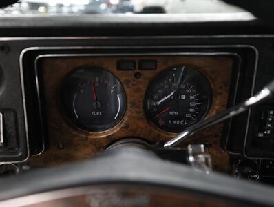 1974 Chevrolet Monte Carlo Landau Coupe   - Photo 48 - Addison, IL 60101