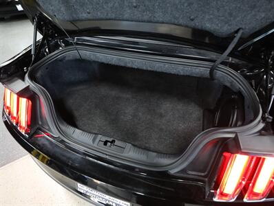 2015 Ford Mustang GT Premium Convertible - Photo 21 - Addison, IL 60101