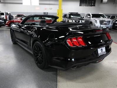 2015 Ford Mustang GT Premium Convertible - Photo 13 - Addison, IL 60101