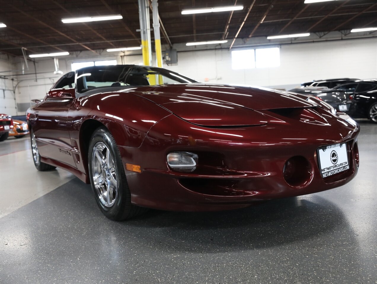 2002 Pontiac Firebird Trans Am - Photo 50 - Addison, IL 60101