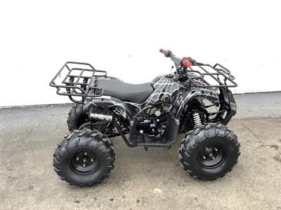 2019 Coolster ATV - Photo 7 - Crest Hill, IL 60403