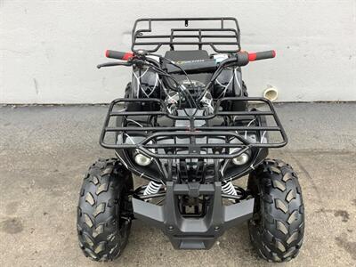 2019 Coolster ATV - Photo 9 - Crest Hill, IL 60403