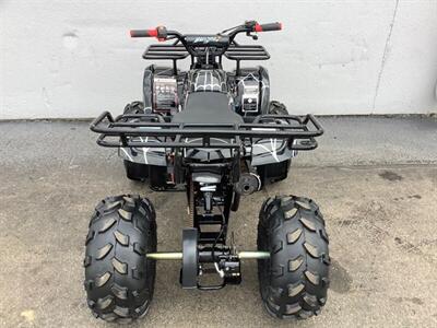 2019 Coolster ATV - Photo 5 - Crest Hill, IL 60403