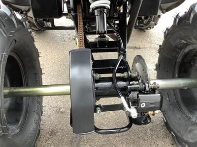 2019 Coolster ATV - Photo 15 - Crest Hill, IL 60403