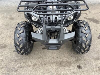 2019 Coolster ATV - Photo 23 - Crest Hill, IL 60403