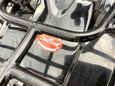 2019 Coolster ATV - Photo 24 - Crest Hill, IL 60403