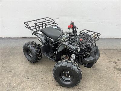 2019 Coolster ATV - Photo 8 - Crest Hill, IL 60403