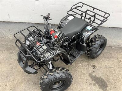2019 Coolster ATV - Photo 2 - Crest Hill, IL 60403