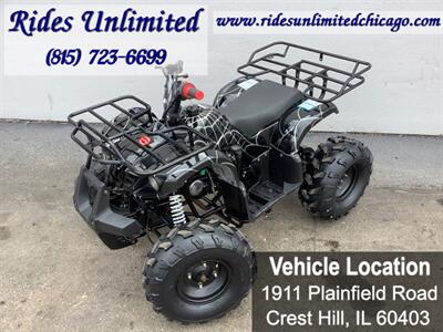2019 Coolster ATV - Photo 1 - Crest Hill, IL 60403