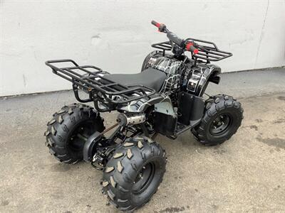 2019 Coolster ATV - Photo 6 - Crest Hill, IL 60403