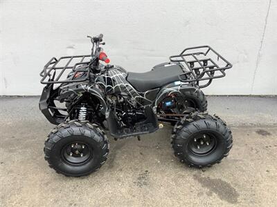 2019 Coolster ATV - Photo 3 - Crest Hill, IL 60403