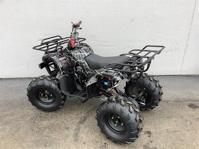 2019 Coolster ATV - Photo 4 - Crest Hill, IL 60403