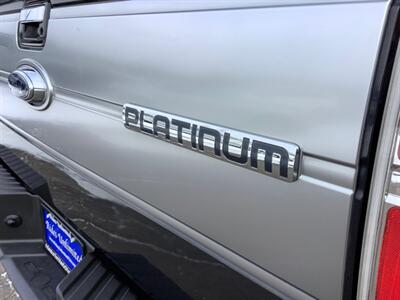 2012 Ford F-150 Platinum - Photo 33 - Crest Hill, IL 60403