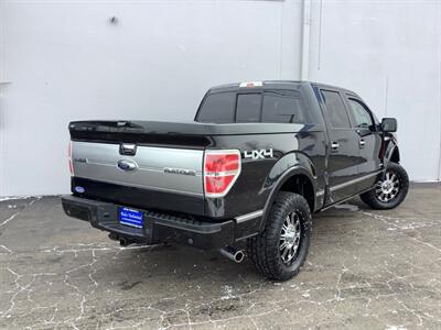 2012 Ford F-150 Platinum - Photo 6 - Crest Hill, IL 60403