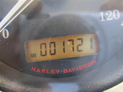 2013 Harley Davidson Sportster 1200 Custom   - Photo 24 - Crest Hill, IL 60403