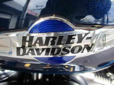 2013 Harley Davidson Sportster 1200 Custom   - Photo 19 - Crest Hill, IL 60403