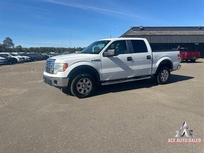 2010 Ford F-150 XLT Truck