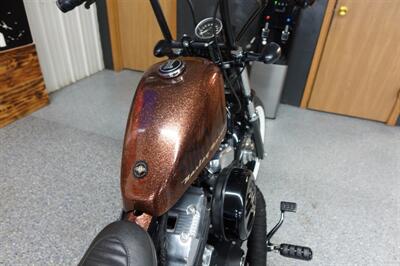 2014 Harley-Davidson Sportster 1200 Forty-Eight   - Photo 20 - Kingman, KS 67068