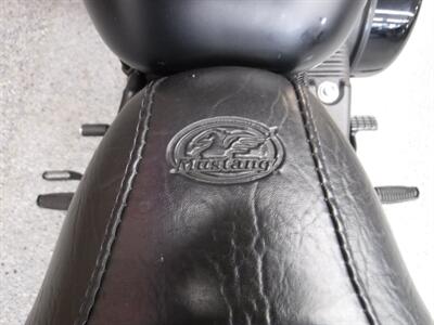 2017 Harley-Davidson Sportster 883 Iron   - Photo 23 - Kingman, KS 67068