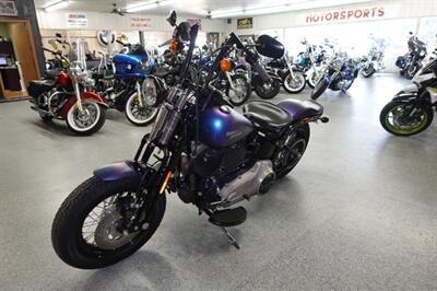 2010 Harley-Davidson Cross Bones   - Photo 4 - Kingman, KS 67068