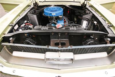1967 Ford Mustang Coupe 3-Speed   - Photo 89 - Rockville, MD 20850
