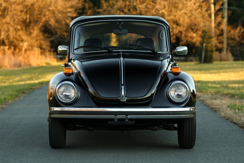 1979 Volkswagen Beetle-Classic Epilogue Edition   - Photo 5 - Rockville, MD 20850